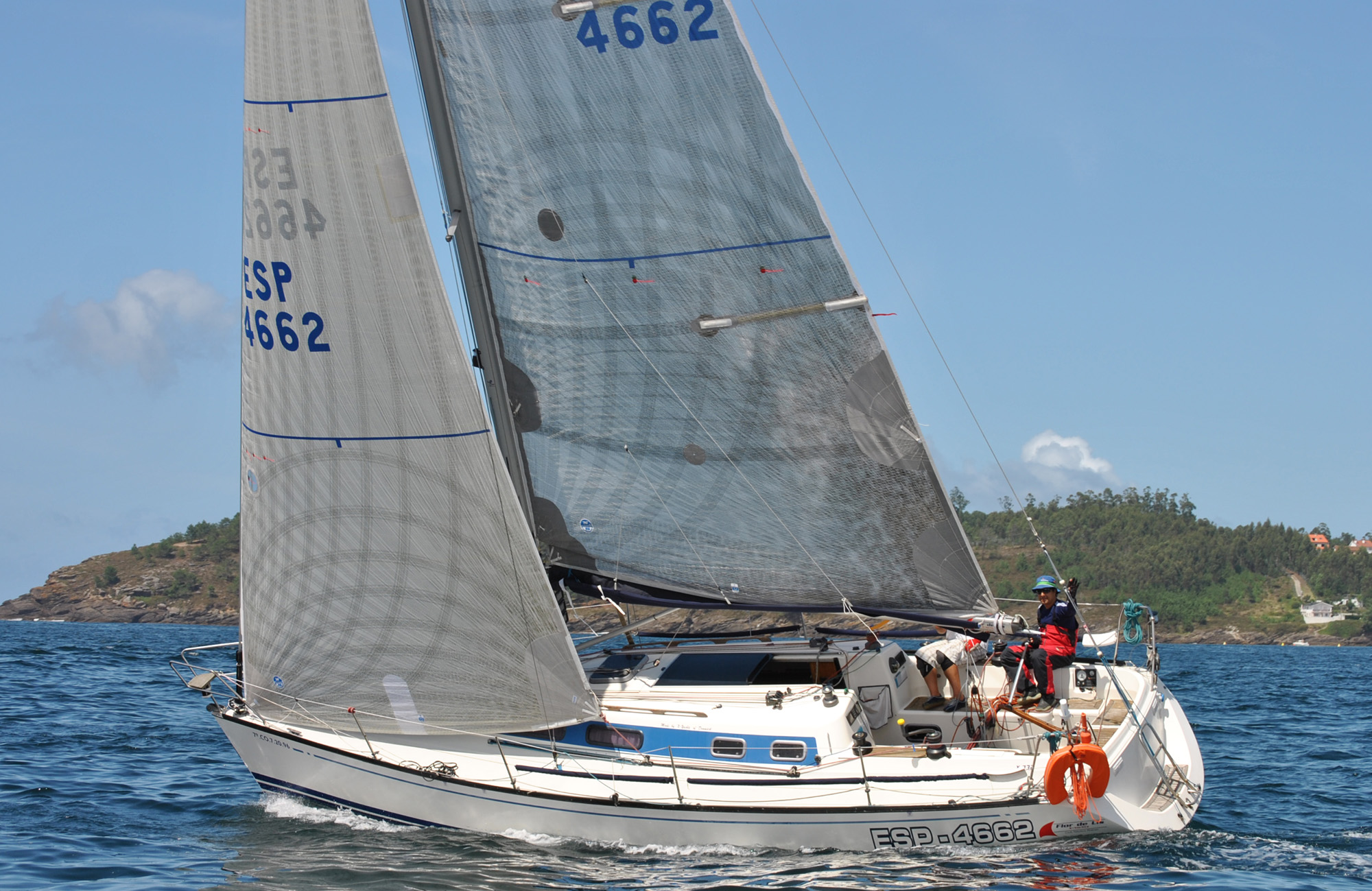 FLOR_DE_LIS_primero_de_los_barbanzanos_medios