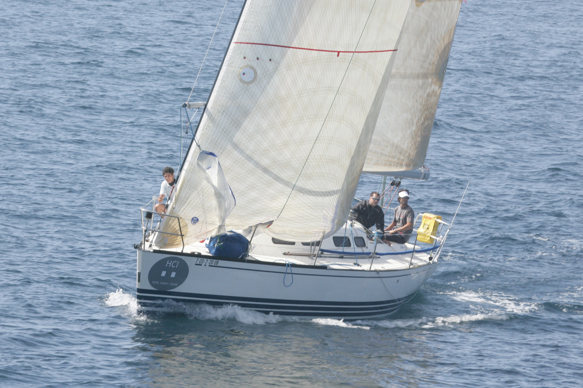 Foto_aerea_del_Codaste_medios