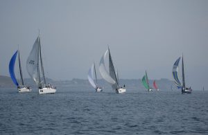 4Flota cuarta etapa (1)