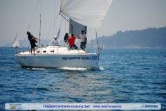 I Cruising Sail dia2 (65)