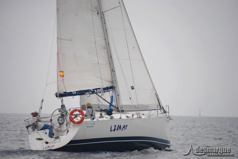 TGalatea2016 1 (93)