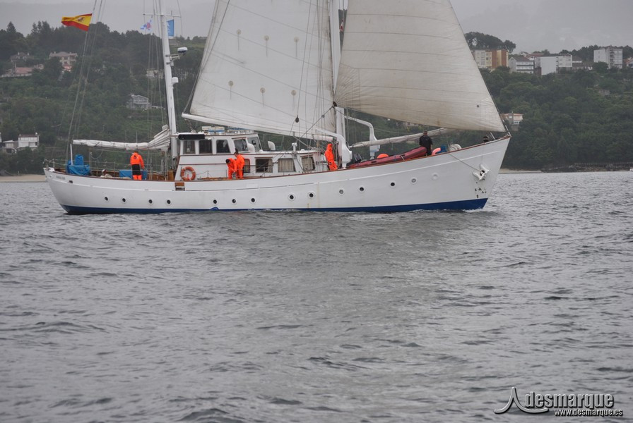 Regata (24)