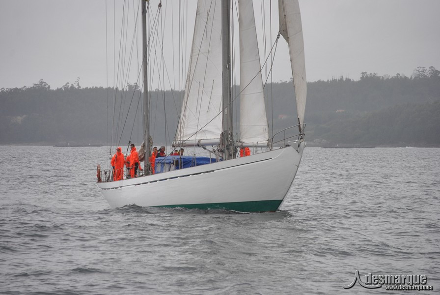 Regata (29)