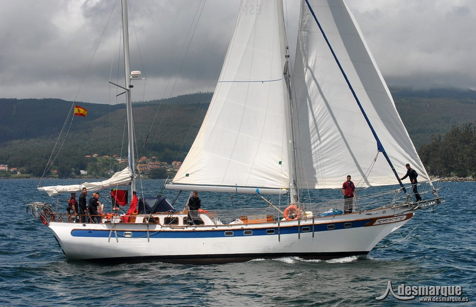Regata (3)