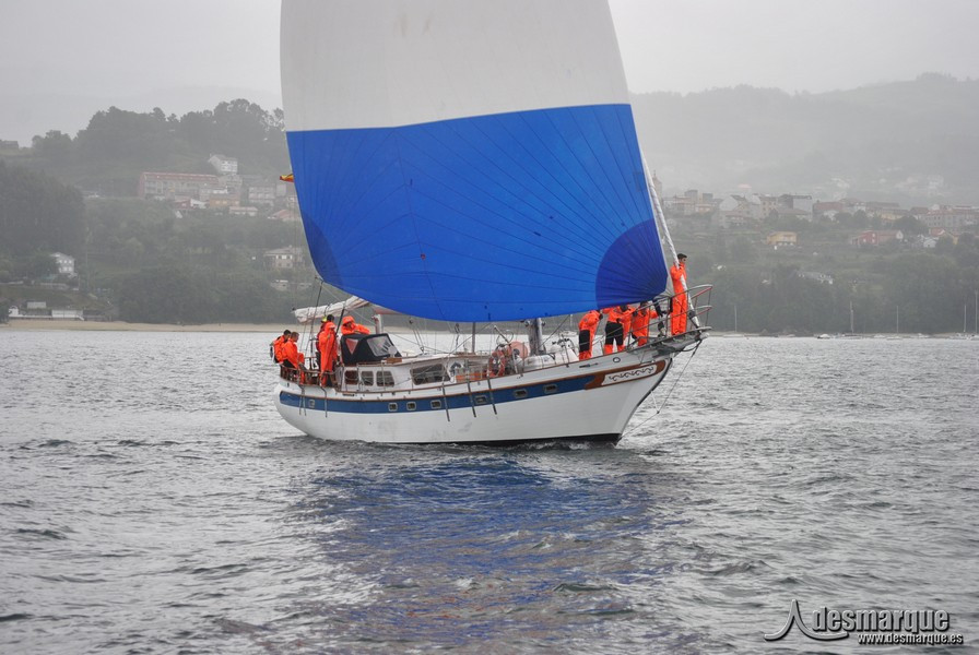 Regata (30)