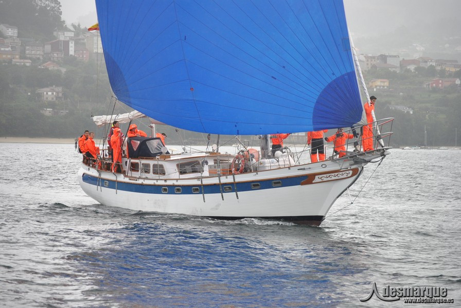 Regata (31)