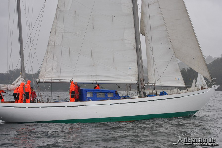 Regata (35)