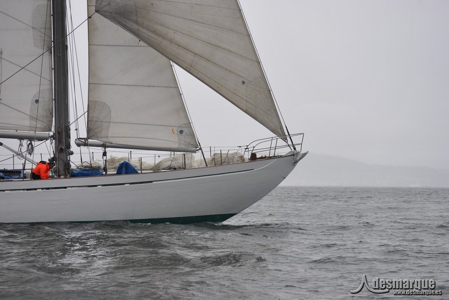 Regata (40)