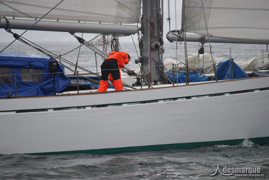 Regata (41)