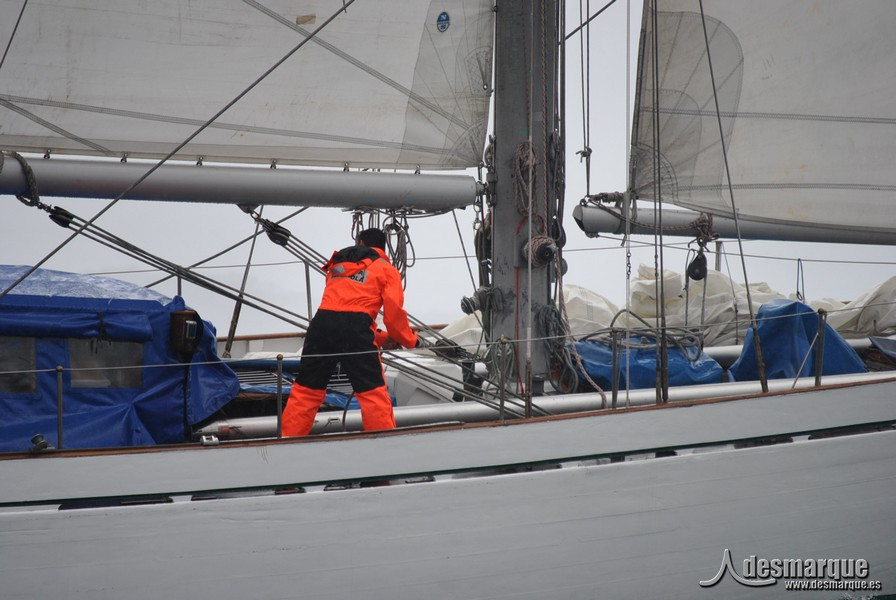 Regata (42)