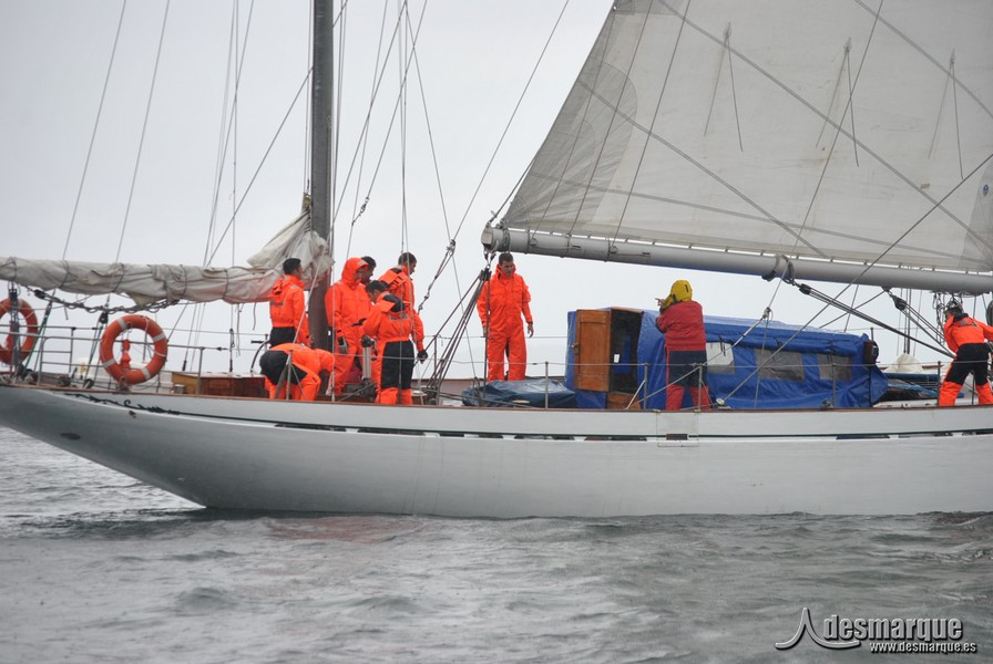 Regata (44)