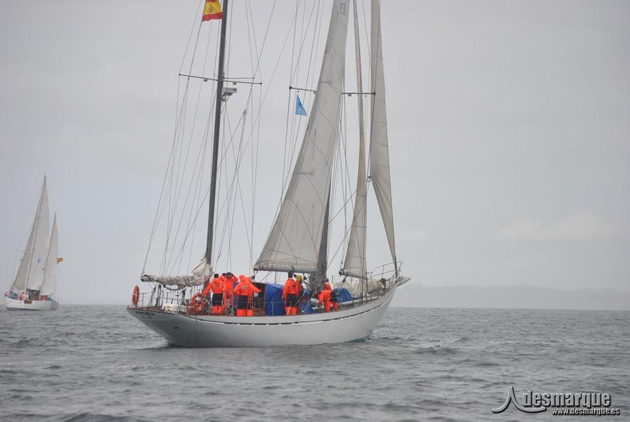 Regata (45)