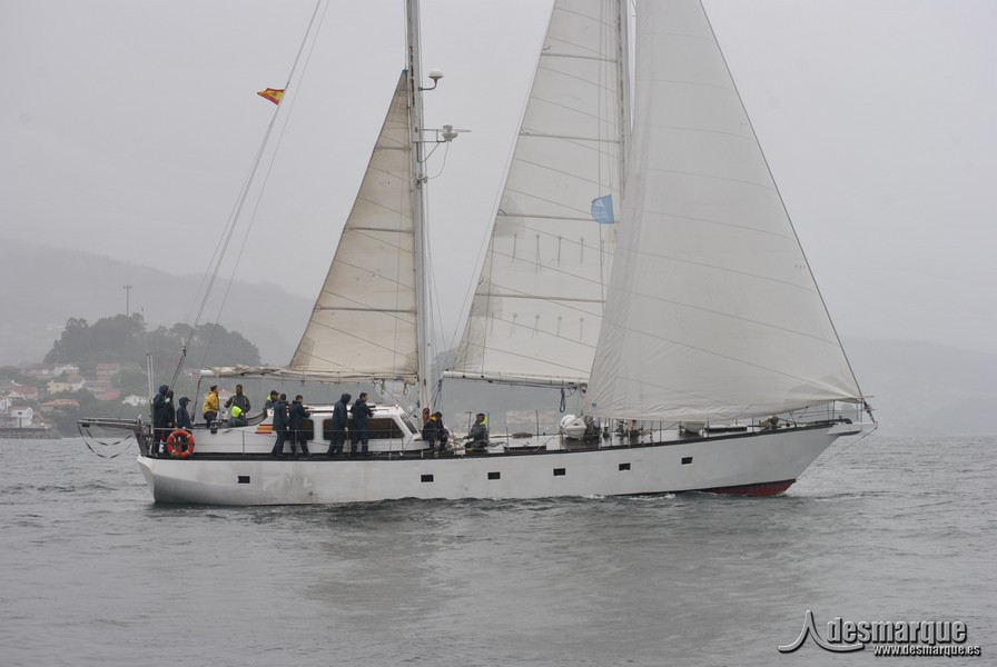 Regata (46)