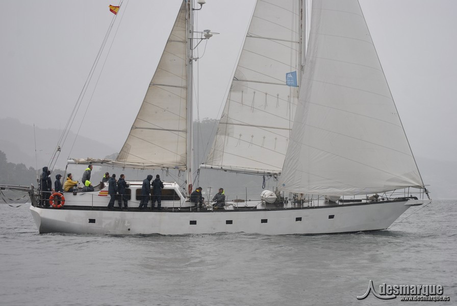 Regata (47)