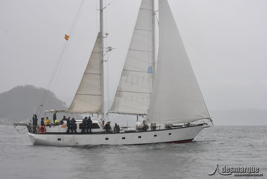 Regata (48)