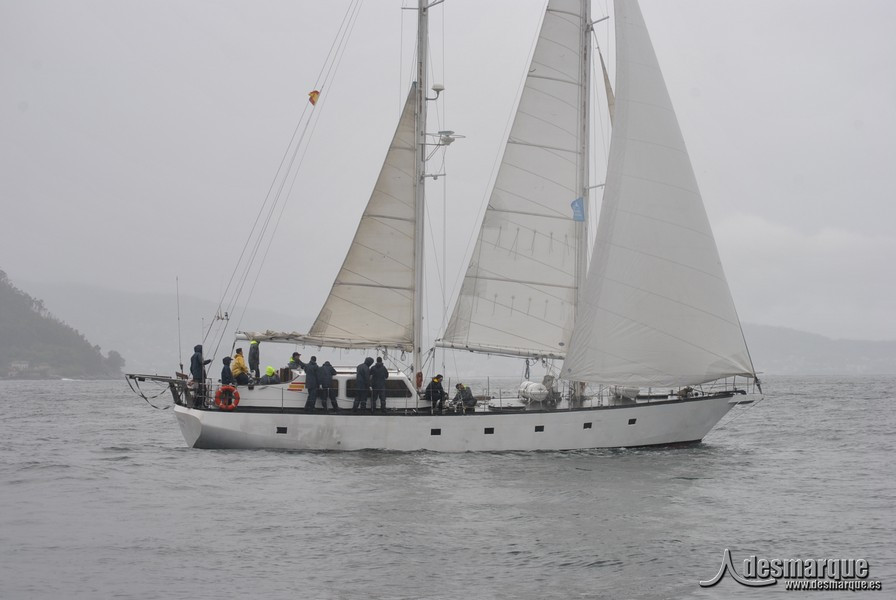 Regata (49)