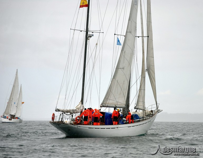Regata (5)