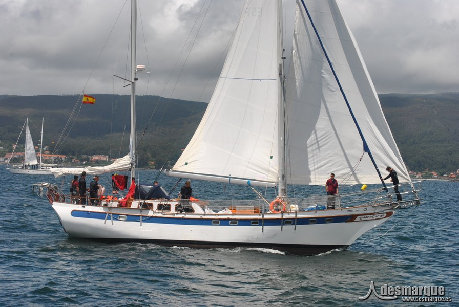 Regata (50)