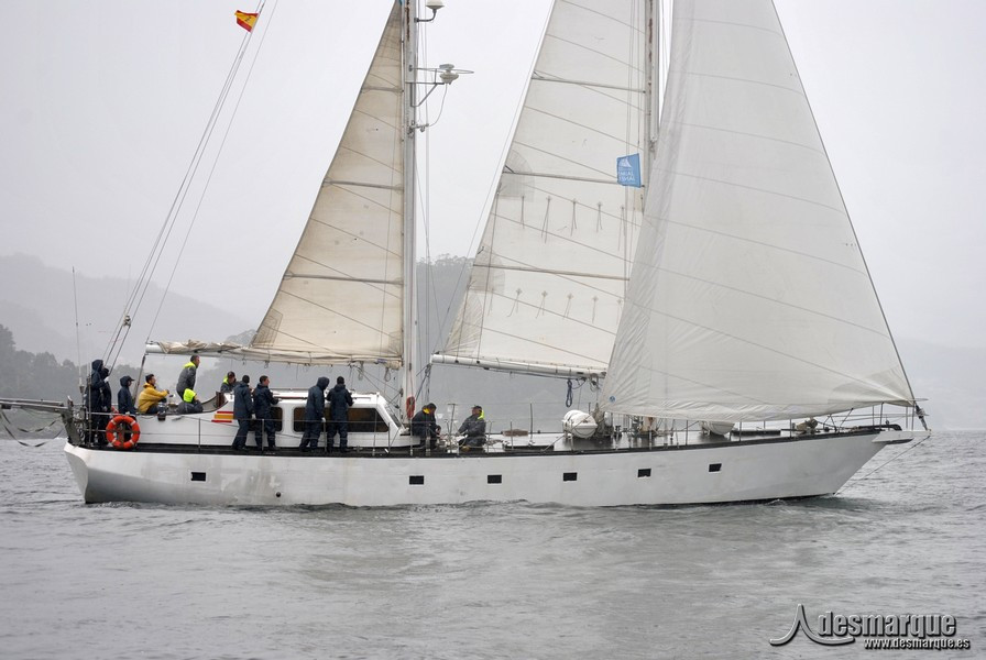 Regata (7)