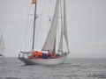 Regata (45)
