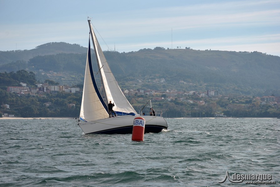 TNavi2 (75)
