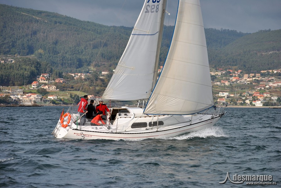 TNavi2 (79)