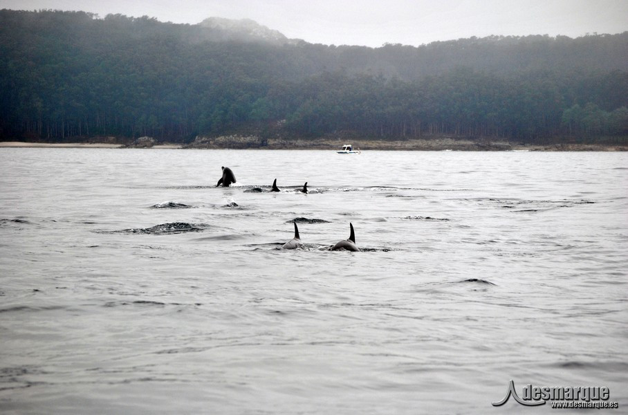 VilaBouzas22014 (38)