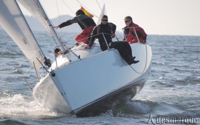 NOTICIAS VIII TROFEO PINTURAS INTERNACIONAL